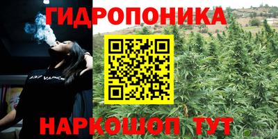 ешки Новозыбков