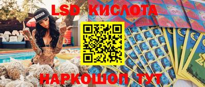 ешки Новозыбков