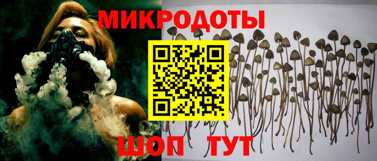 Псилоцибиновые грибы Magic Shrooms Наро-Фоминск